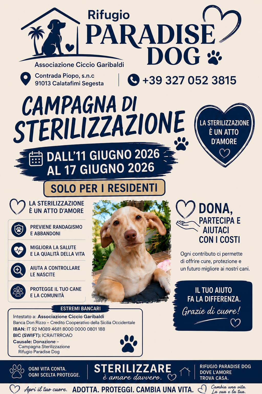 Campagna di sterilizzazione gratuita a Calatafimi Segesta: iniziativa dedicata esclusivamente ai residenti