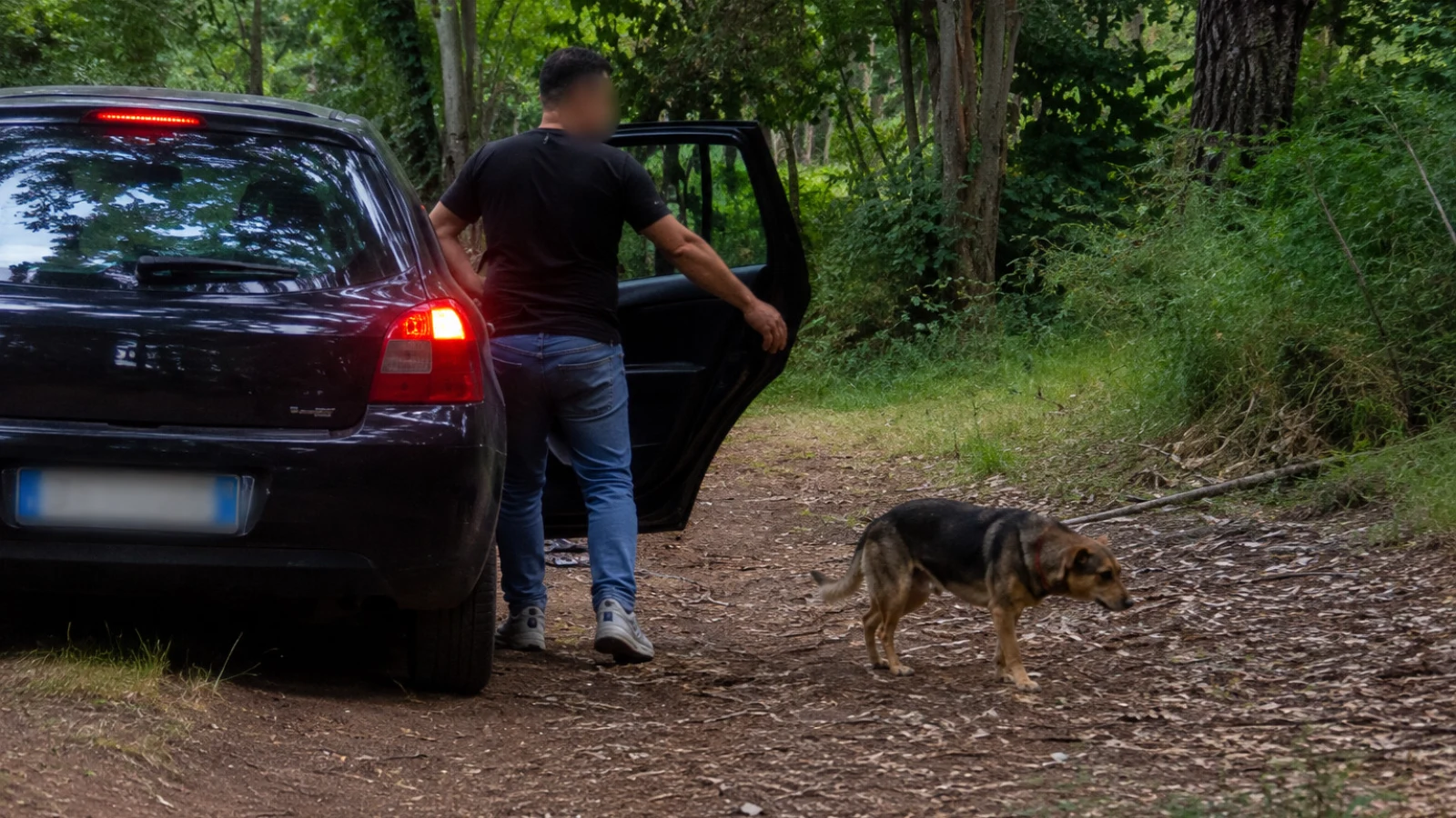 Genova, porta la cagnolina al canile ma la abbandona nel bosco: rintracciato e denunciato