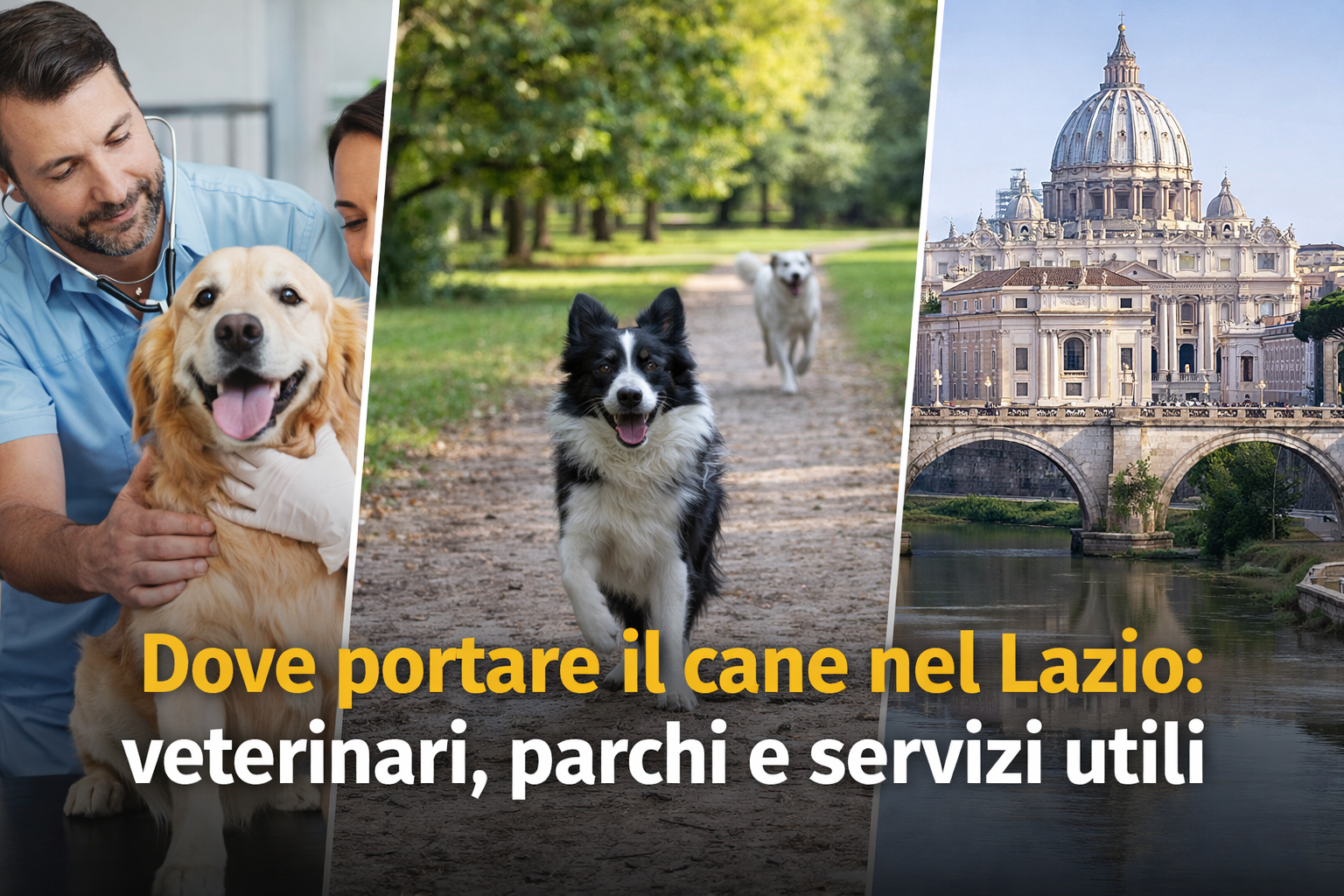 Dove portare il cane nel Lazio: veterinari, parchi e servizi utili