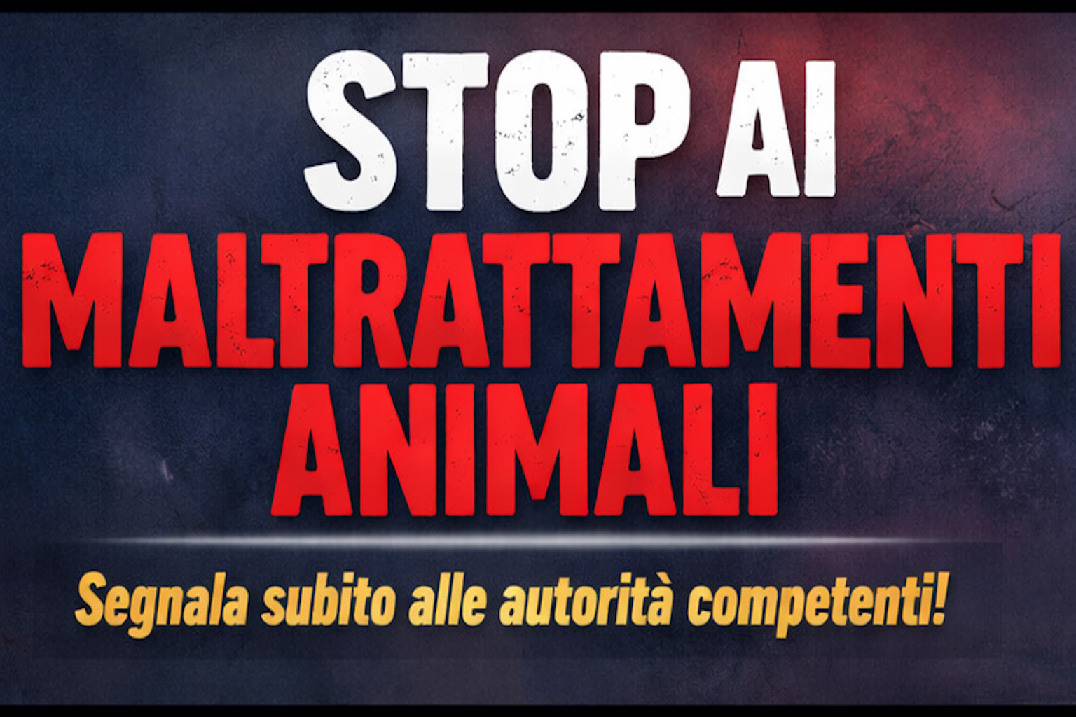 Gatto tinto di rosa a Brescia: quando l’indignazione non basta più