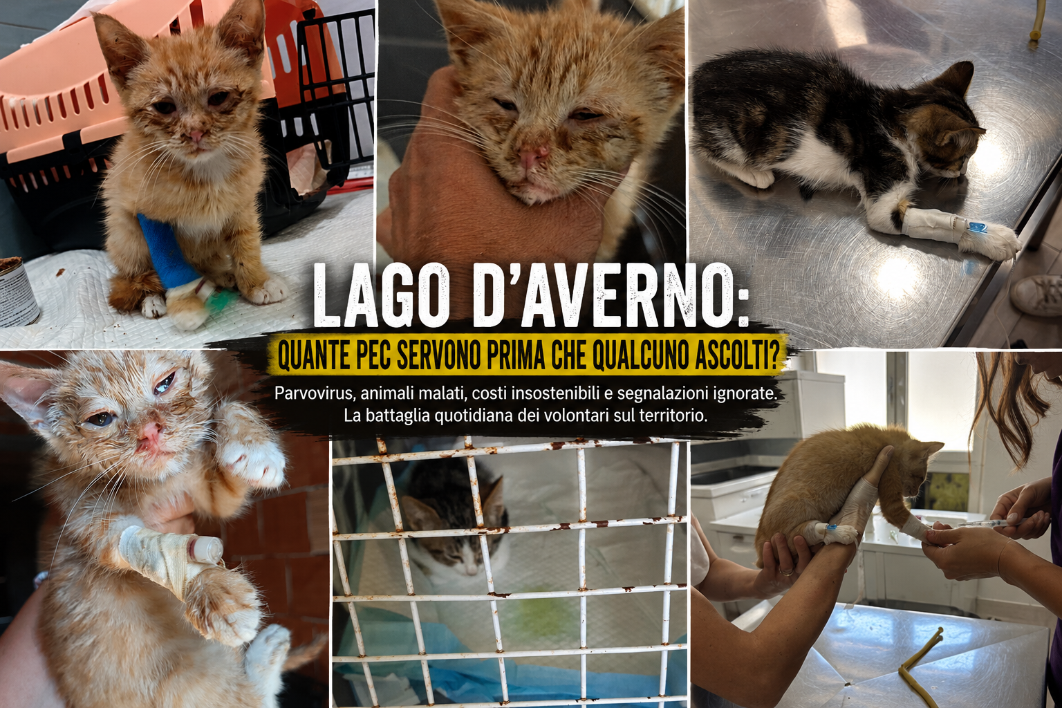 Lago d'Averno: quante PEC servono prima che le istituzioni ascoltino l'emergenza?