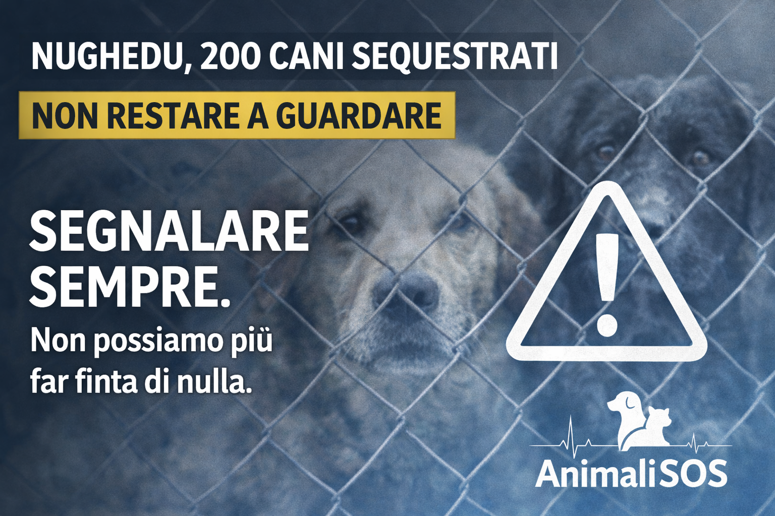 Nughedu, 200 cani sequestrati: non possiamo più restare a guardare