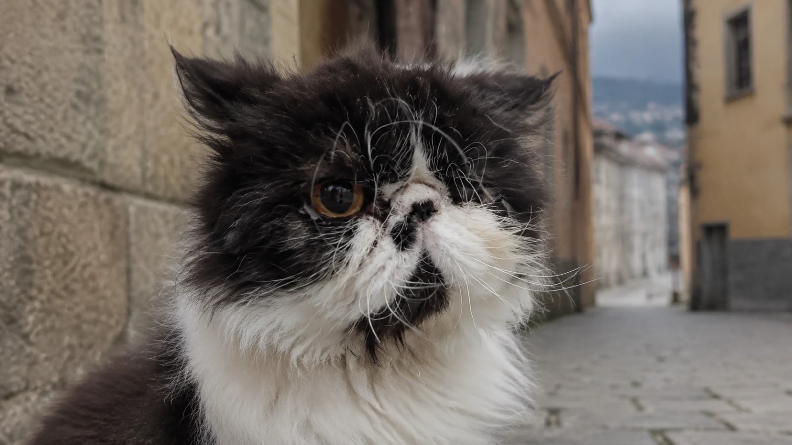 Thomas, invisibile a soli tre anni: quando accogliere un animale diventa una promessa tradita